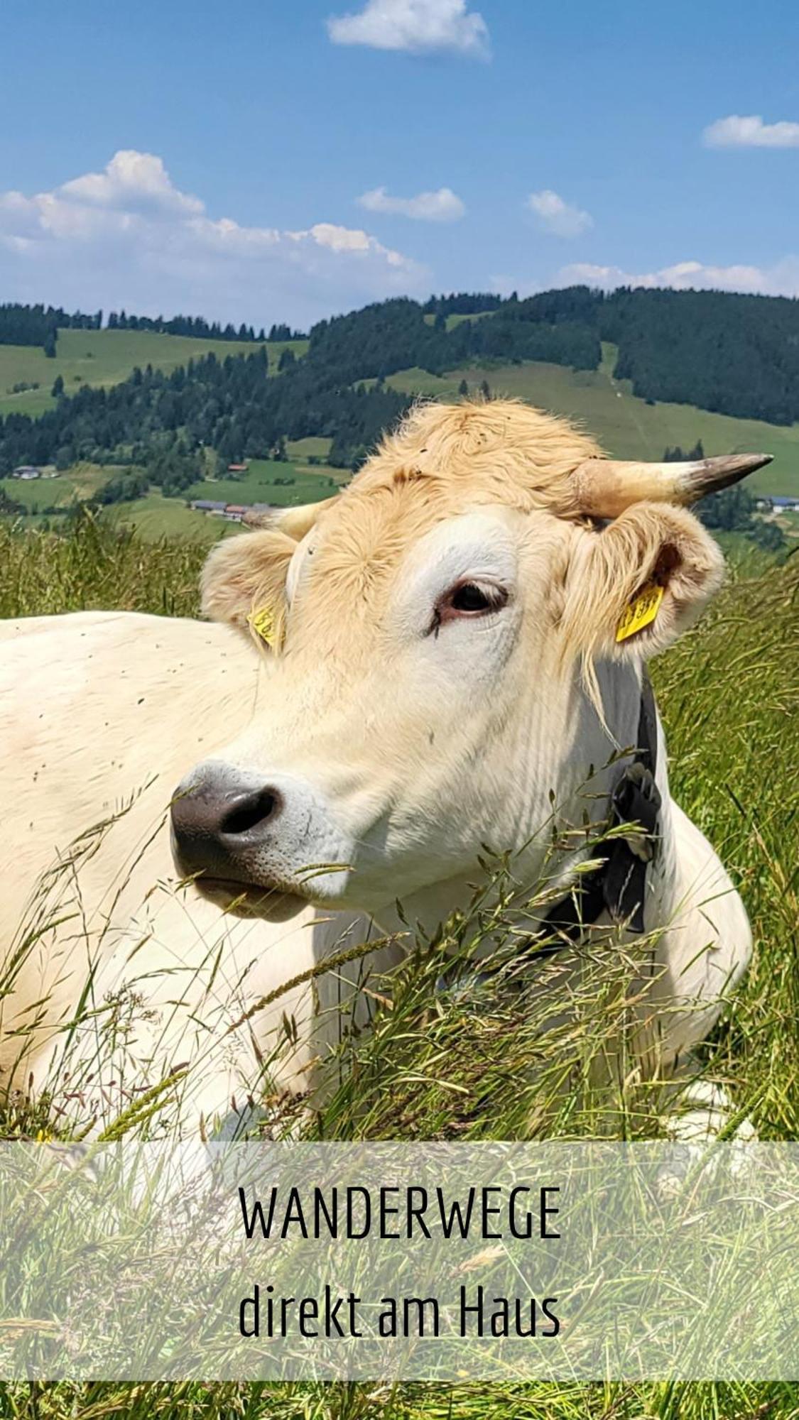 Bergzeit Mit Pool Und Sauna *